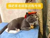Товары от 偶吧de小店