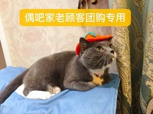 Старые клиенты, которые продолжают обновлять специальную покупку группы Puppet Bar, не будут возвращены или в спешке,