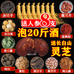 100种中药材人参泡酒料滋补养生十全大补药酒腰酸背痛祛湿泡酒料