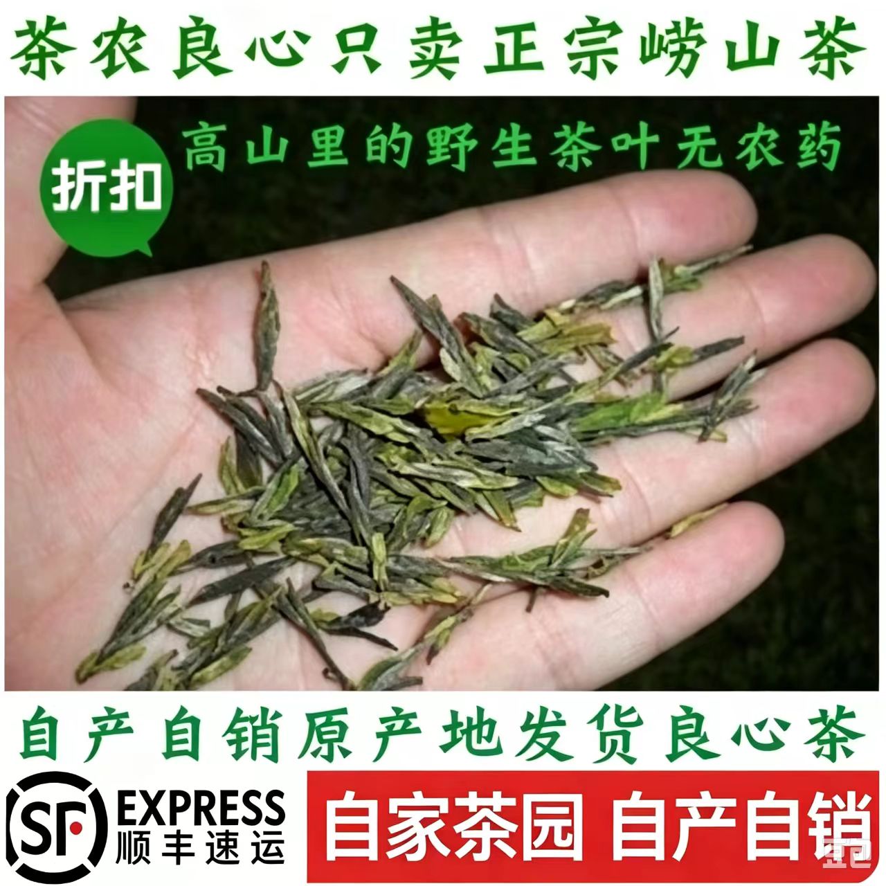 2026崂山绿茶明前手工小芽扁茶叶