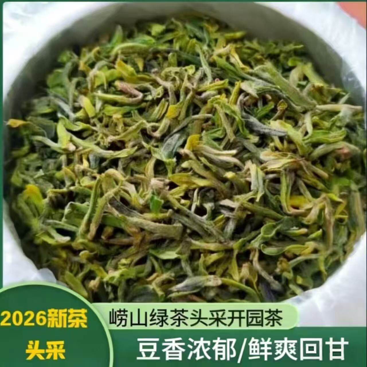 2026正宗青岛崂山绿茶明前春茶头采新茶手工卷曲碧螺春豌豆香礼盒