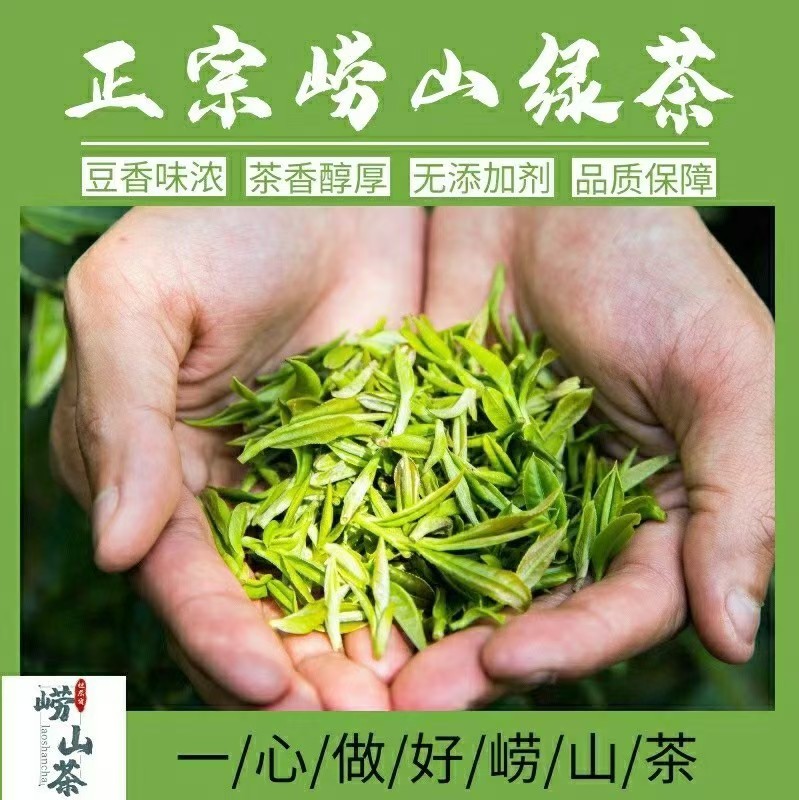 2026崂山绿茶明前手工小芽扁茶叶