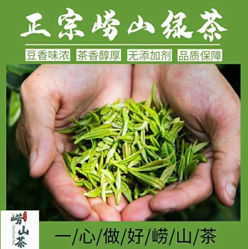 正宗青岛崂山绿茶茗苑春明前新茶叶手工扁茶松针毛尖豆香散装500g