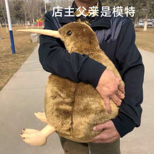 大KIWI几维鸟公仔抱枕 几维鸟毛绒玩具 仿真动物毛绒玩具父亲礼物