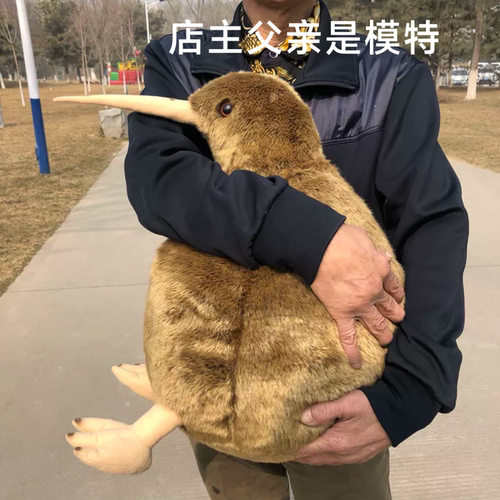 几维鸟公仔抱枕KIWI毛绒玩具仿真