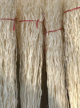 龙柳 龙柳干枝假树枝装饰白色干花龙桑装饰隔断橱窗装饰天然树枝