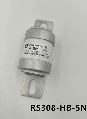 西安中熔熔断器RS308-HB-5NS200A250A车用直流保险丝750VDC aR快