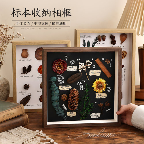 DIY手工中空标本相框植物花贝壳