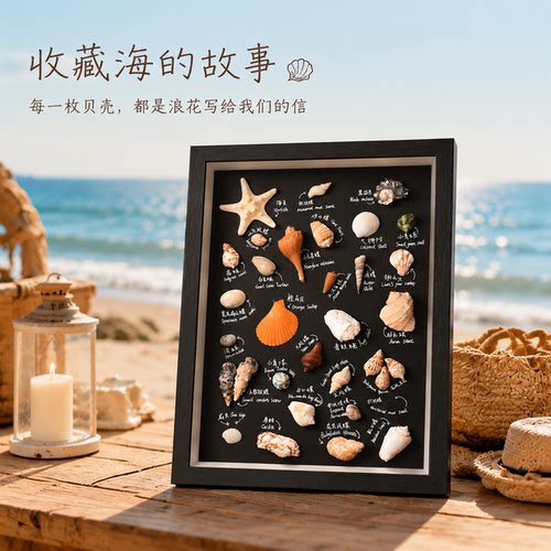 贝壳海螺手工diy标本相框植物