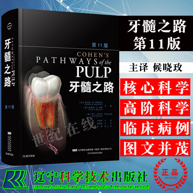 牙髓之路 第十一版第11版 牙体牙髓病学临床牙髓再生技术口腔书籍医学类专业书籍牙科牙髓治疗根管治疗图谱辽宁科学技术出版社