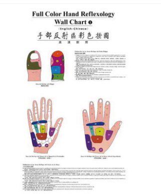 手部反射区彩色挂图(英汉对照)外销书