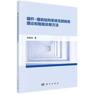 正版现货 锚杆—围岩结构系统无损探伤理论和智能诊断方法 陈建功 科学出版社9787030672940