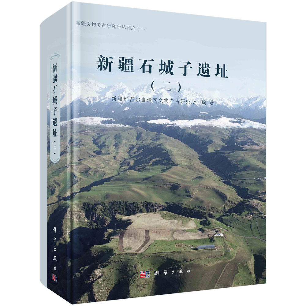 现货正版 平脊精装 新疆石城子遗址 二 新疆维吾尔自治区文物考古研究所 科学出版社 9787030767394