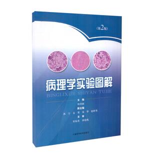 现货 病理学实验图解(第2版)何彦丽编 上海科学技术出版社