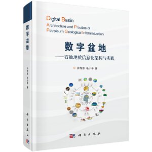 正版现货 数字盆地 孙旭东 科学出版社