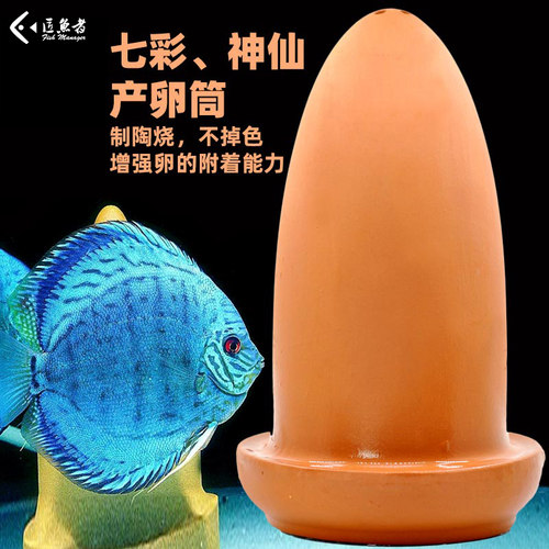七彩鱼产卵繁殖陶罐超级繁殖桶