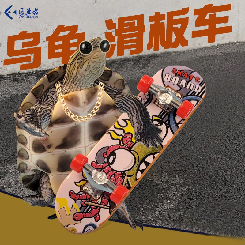 乌龟专用滑板车中华草龟巴西龟顶墨招财金线草龟养龟大全