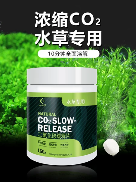 Товары от 萍水相逢5652