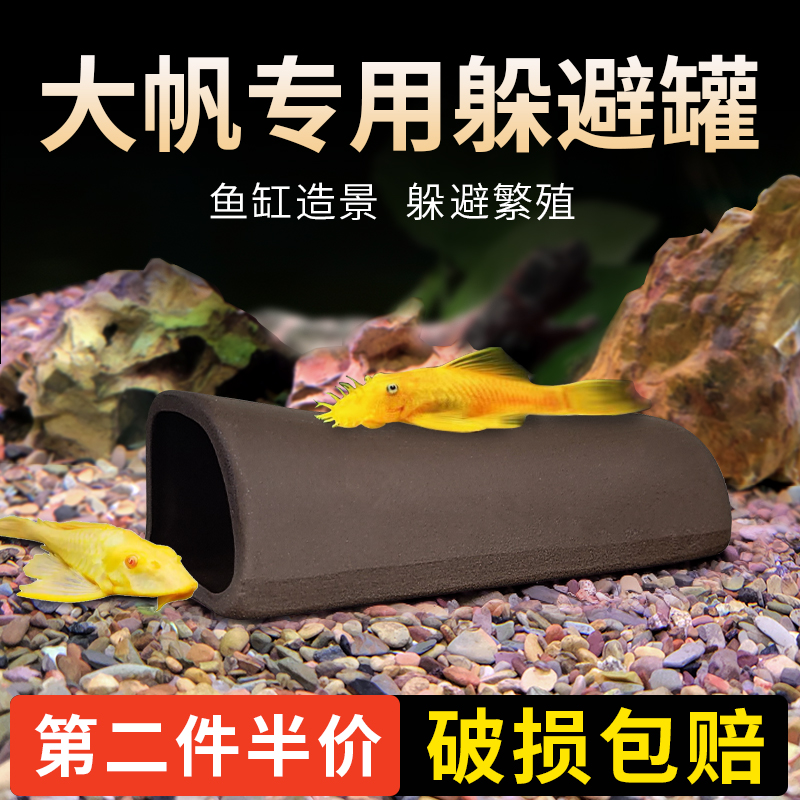 黄金胡子繁殖罐大帆产卵陶罐