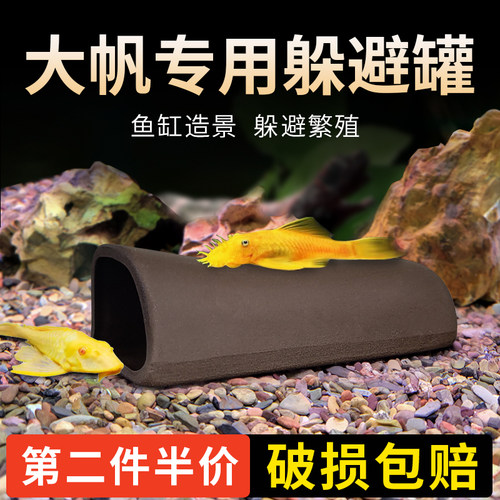 黄金胡子繁殖罐大帆产卵陶罐