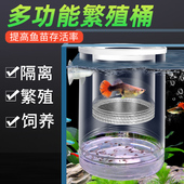 孔雀鱼隔离盒产卵桶母鱼产房幼鱼透明隔离箱小鱼幼鱼孵化盒繁殖网