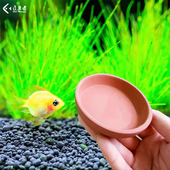 金波子繁殖盘片阿凡达生小鱼产卵短鲷饲养繁殖孵化盘土陶盘净化水