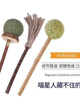 木天蓼磨牙简装清洁猫薄荷