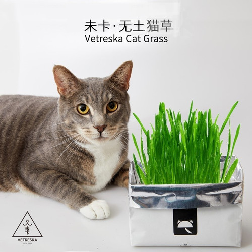 未卡vetreska销量排行榜 未卡vetreska品牌热度排名 小麦优选