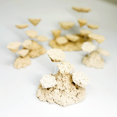 海缸珊瑚支架小缸培菌爪哇基拉戈干岩石免爆藻人工陶瓷锐焦补造景