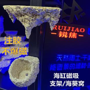 海缸磁吸奶嘴窝强磁铁玻璃海葵注胶防爆悬浮地毯珊瑚支架锐焦造景
