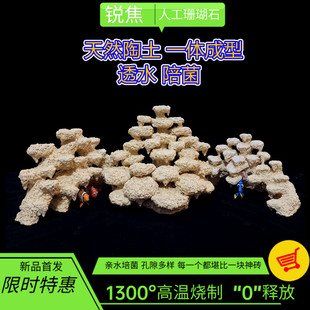 海缸造景珊瑚35-50缸小缸微缸培菌石人造死石爪哇基拉戈定制 锐焦