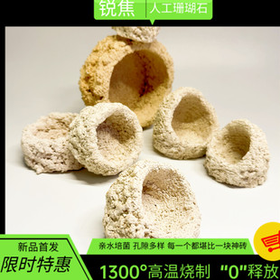 海缸奶嘴窝葵地毯爪哇基拉戈干岩石免爆藻罐珊瑚陶瓷培菌锐焦造景