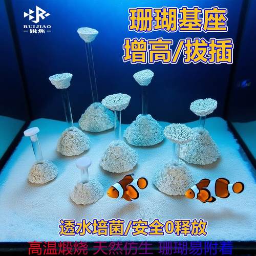 珊瑚基座拔插增高硬骨海水底座富士半圆纽扣软体断枝八字糖果脑