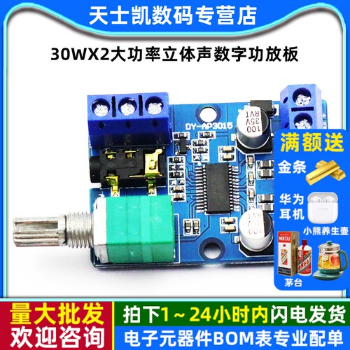 30Wx2大功率立体声数字功放板12V