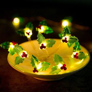 2m/3m  Cherry String Lights Battery/USB Powered Flower Hazel