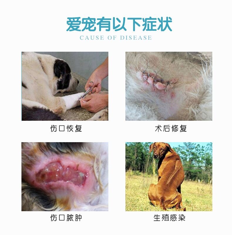 百灵金方抑菌粉防腐生肌散宠物犬猫狗狗外伤咬伤肛门腺流脓感染