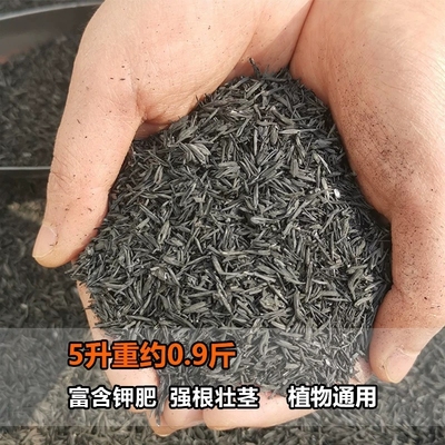 彩乐植稻壳炭熏碳谷壳碳草木灰