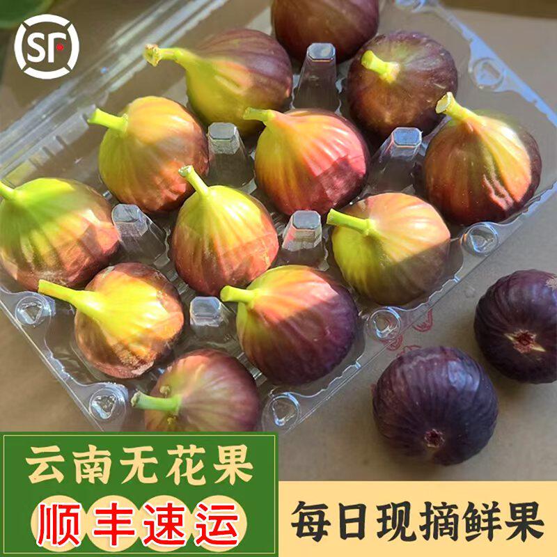 顺丰 新鲜红皮无花果5斤孕妇水果应当季大果青红皮鲜果非威海整箱