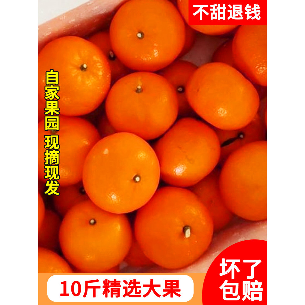 广西沃柑新鲜精品果园大果10斤现摘水果当季整箱果园新鲜摘批发,水产肉类/新鲜蔬果/熟食,桔子,淘宝优惠券,粉丝福利购,淘宝优惠卷