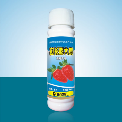 草莓拉长素 草莓拉长膨大素 植物生长调节剂草莓专用拉长素