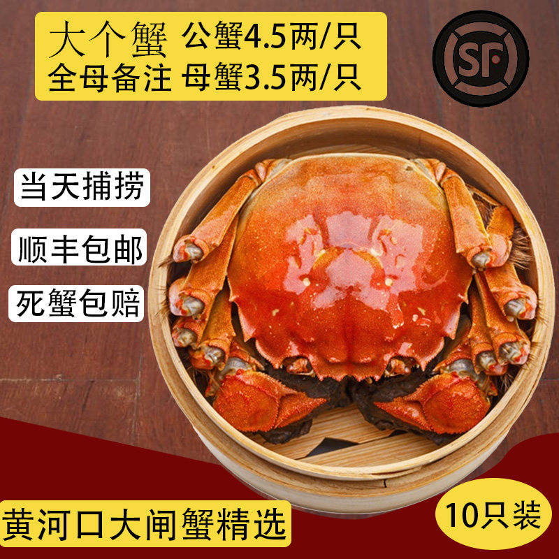 山东东营黄河口大闸蟹螃蟹河蟹大闸蟹礼盒现货顺丰包邮公3两母2两