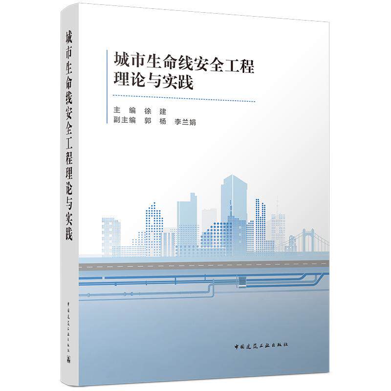 城市生命线安全工程理论与实践 燃气供水排水桥梁道路隧道地铁综合管廊监管和智慧监测风险识别评估智慧应用数据治理监管运行管理