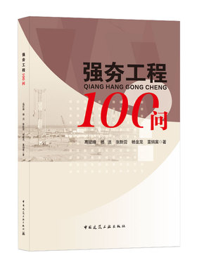 强夯工程100问  一问一答的形式介绍强夯工程设计施工检测监测及强夯衍生技术的工作方法原理 高斌峰 杨洁 张新蕊 杨金龙 董炳寅著