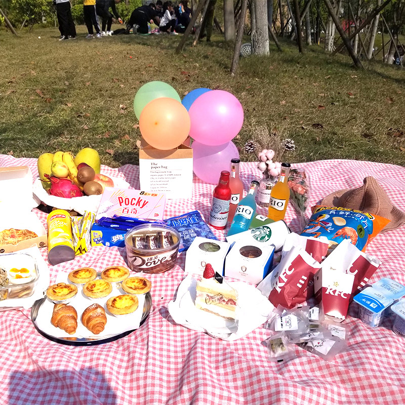 野餐布粉色少女心春游户外