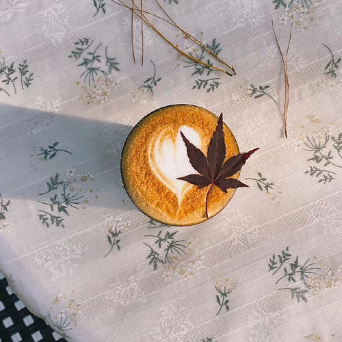 纯棉提花餐桌布轻奢高级感