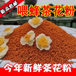 2025新鲜喂蜂茶叶花粉养蜂喂蜂花粉中蜂蜜蜂天然蜂用饲料养蜂专用
