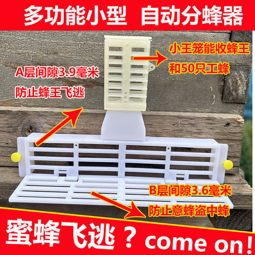 一蜂朵自动分蜂器新品