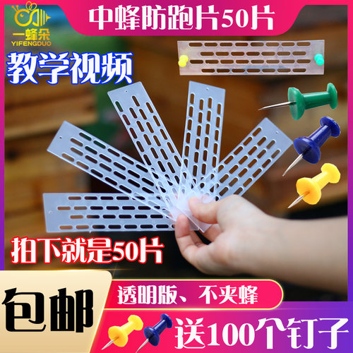 中蜂防跑王片塑料蜂箱