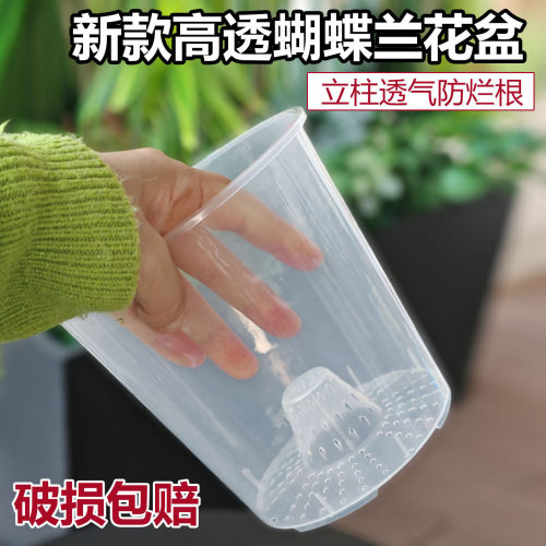 透明可视空气柱细孔透气蝴蝶兰盆
