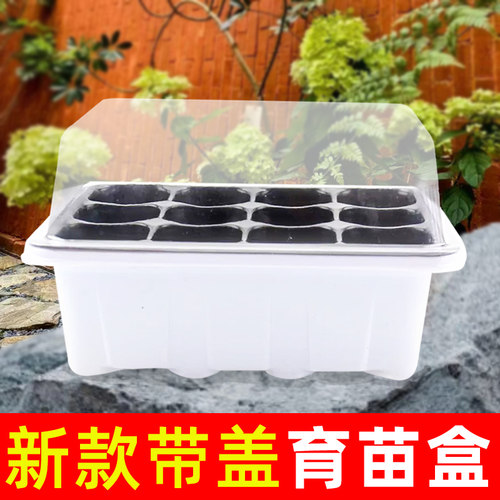 蔬菜育苗盒带盖植物扦插神器